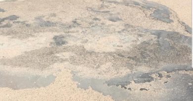 Marqués afirma que la fotografía del PSPV del carril bici no se ajusta a la realidad Marqués afirma que la fotografía del PSPV del carril bici no se ajusta a la realidad