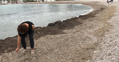 Vecinas de Els Terrers denuncian el “abandono” de esta playa de Benicàssim Vecinas de Els Terrers denuncian el “abandono” de esta playa de Benicàssim