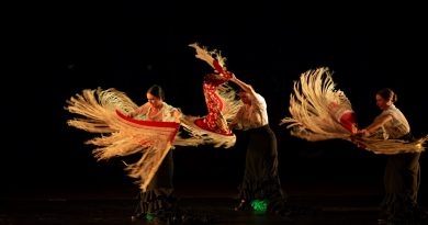 Un centenar de bailarines participan en la Cita con la Danza FIB Un centenar de bailarines participan en la Cita con la Danza FIB